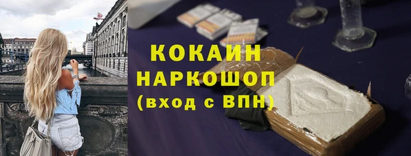 гашик Белокуриха