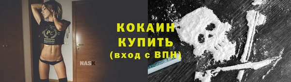 гашик Белокуриха