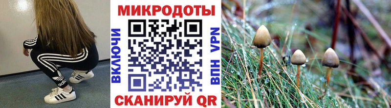 Псилоцибиновые грибы ЛСД  Новоалександровск 